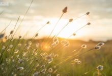 十八線小山村：兩輩人的互聯網衝擊-酷播亮新聞