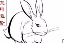 生肖兔農曆二月乙卯月愛情財運及開運方法-酷播亮新聞