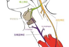 造物主真的存在嗎？我們身上的這一處便說明了一切-酷播亮新聞