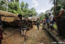 亞馬遜盜木賊遇到印第安部落的悲慘下場-酷播亮新聞