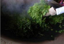 普洱茶殺青工藝對品質的影響的介紹-酷播亮新聞