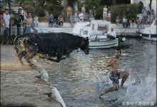 那些極具運氣才能拍到的危險來臨瞬間！-酷播亮新聞