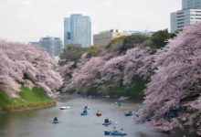 瀟說日本：東瀛春日二三事-酷播亮新聞
