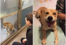 能觸動你內心的六張圖-酷播亮新聞