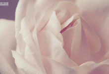 陌陌的天空：場景化，不顧一切的場景化-酷播亮新聞