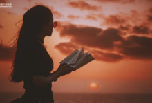 一個“知識網紅”的年代-酷播亮新聞