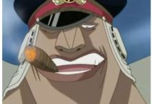 海賊王：雨之希留就是守門員，想殺黑鬍子得先有大將以上的實力？-酷播亮新聞