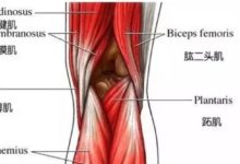 讓膝蓋保持年輕的瑜伽秘訣 很多人還搞不清楚在瞎練-酷播亮新聞
