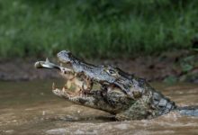 2016 國家地理年度旅行攝影師大賽獲獎作品欣賞-酷播亮新聞