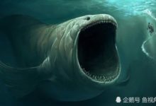 大海有多恐怖？當你凝視深淵的時候，深淵也在凝視你！-酷播亮新聞