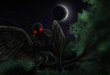 揭秘比外星人還神秘的地球物種:本人半鳥會隱身-酷播亮新聞
