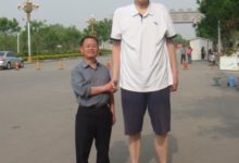 中國最高十大巨人，竟然沒有姚明-酷播亮新聞