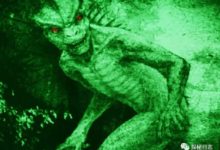 1.6噸小汽車被蜥蜴人一把掀翻，蜥蜴人真的存在地下嗎？-酷播亮新聞