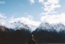 從微信捐步、螞蟻森林到熊貓守護者，輕量化的微公益怎麼玩？-酷播亮新聞