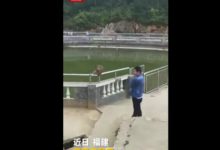 男子挑事推“大師兄”下水 猴子大怒反擊將其打傷-酷播亮新聞