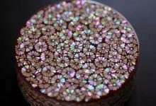 彩色貝殼的專屬驚艷-酷播亮新聞