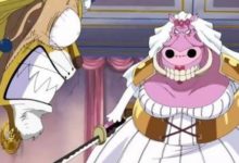 海賊王：那些已經被遺忘的最佳CP，他們堪稱最合適的搭配！-酷播亮新聞