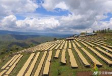 咖啡資訊 | 星巴克推出區塊鏈技術試點專案-酷播亮新聞