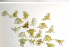 她用舊地圖剪紙——英國藝術家Claire Brewster作品欣賞-酷播亮新聞