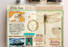 看看藝術家的日記本！你自己的日記還能算日記嗎？-酷播亮新聞