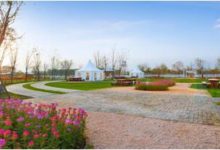 中糧智慧農場邀你玩轉五一，相約“春季喚醒”派對-酷播亮新聞