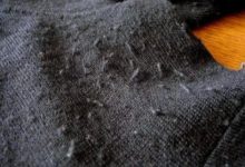 衣服起球別擔心，教你一招輕鬆搞定，不用毛球修剪器，又快又乾淨-酷播亮新聞