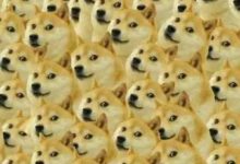 只有傻子才不春遊-酷播亮新聞