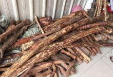 別以為你很懂木頭！木性是什麼你知道嗎！-酷播亮新聞