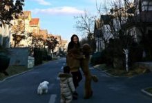 霍思燕的寵物，昆凌的寵物，陳喬恩的寵物，差別真是一目了然-酷播亮新聞