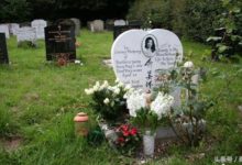 中國8位明星的墓地現狀-酷播亮新聞