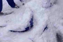 這種場面南方人可能永遠也見不到-酷播亮新聞