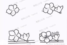 一步一步教你畫桃花，最適合這個時節的花朵-酷播亮新聞