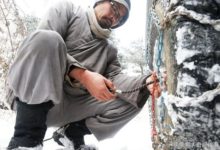 80後男人捨棄千萬薪水，毅然決定走進深山生活-酷播亮新聞