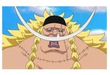 海賊王，白鬍子二世或成路飛友軍？ 二人都有相同的目標-酷播亮新聞