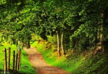 攝影技巧小集合，記得收藏哦-酷播亮新聞