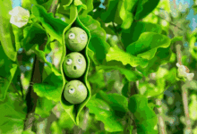 做一部屬於你的定格動畫，讓玩具動起來！-酷播亮新聞