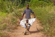 聰明的非洲人都快要逆天了-酷播亮新聞