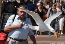 六張驚艷的抓拍照-酷播亮新聞