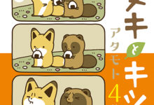 最治愈組合《狸貓與狐狸》再次推出超可愛甜甜圈-酷播亮新聞