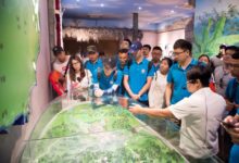 海航技術團委開展母瑞山革命根據地紅色精神學習活動-酷播亮新聞