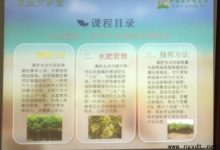 農業栽培：高杆女貞栽培管理技術及病蟲防治-酷播亮新聞