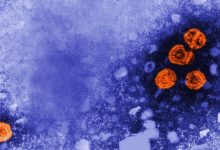 測序史里程碑：科學家首次從 7000 年的牙齒中獲得乙肝病毒DNA-酷播亮新聞