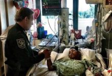 看了這些照片，你會發現世界其實依然美好，我們也要做一些更好的事！-酷播亮新聞