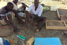 中新世猿類化石被發現-酷播亮新聞