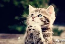 系統更新＠母親節活動操作流程-酷播亮新聞