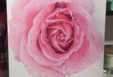 一步一步教你畫bulinbulin的粉色玫瑰-酷播亮新聞