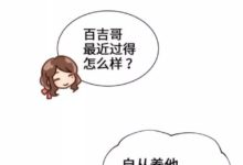 《工作在貓咖啡》｜十隻橘貓九隻肥-酷播亮新聞