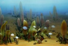 地球曾被外星病毒污染，我們是自己星球上的外星人？-酷播亮新聞