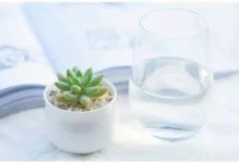 生活「常識」 | 這些冷知識你知道幾個？-酷播亮新聞