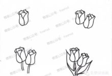 一步一步教你畫鬱金香-酷播亮新聞